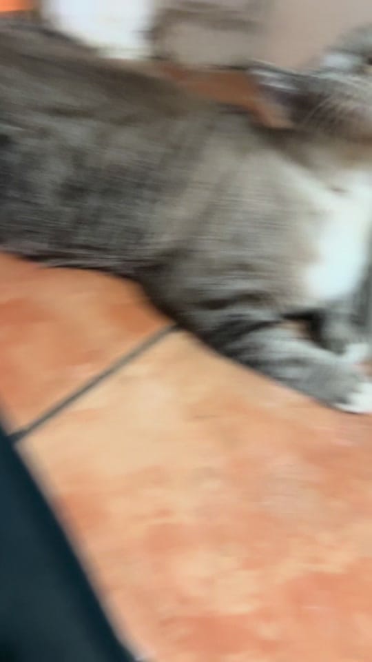 Post 6 by Anahi Escatel on TikTok (video)