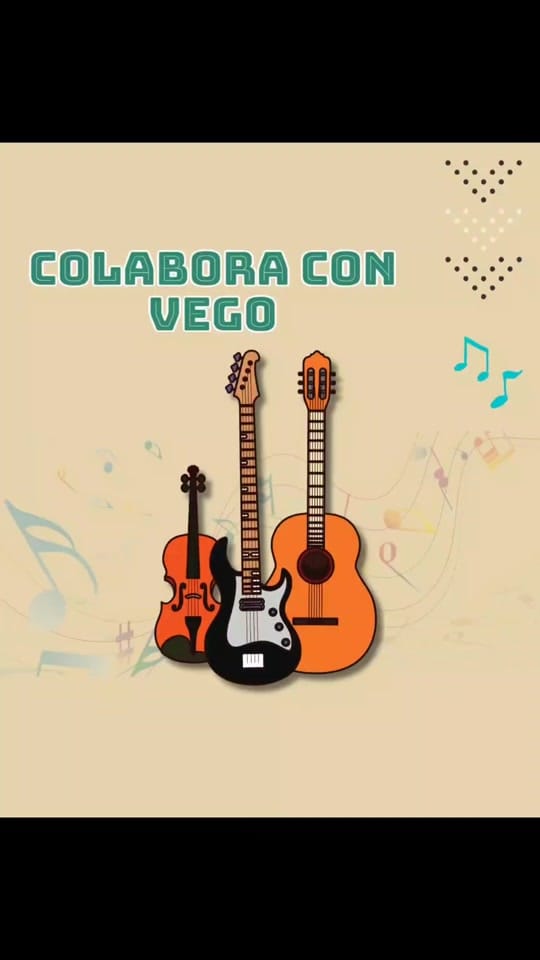 Post 5 by Instrumentos Vego on TikTok (video)
