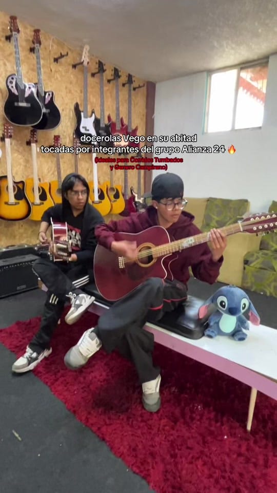 Post 2 by Instrumentos Vego on TikTok (video)