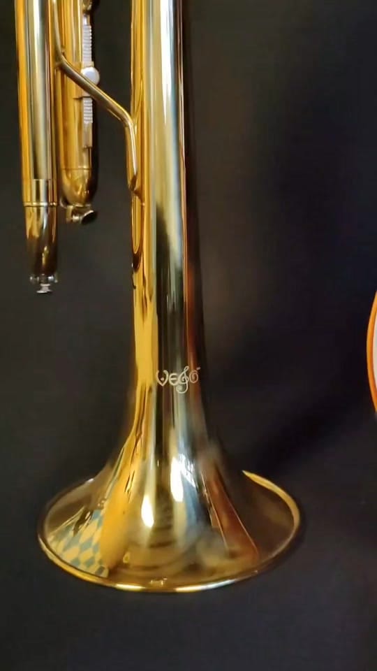 Post 9 by Instrumentos Vego on TikTok (video)