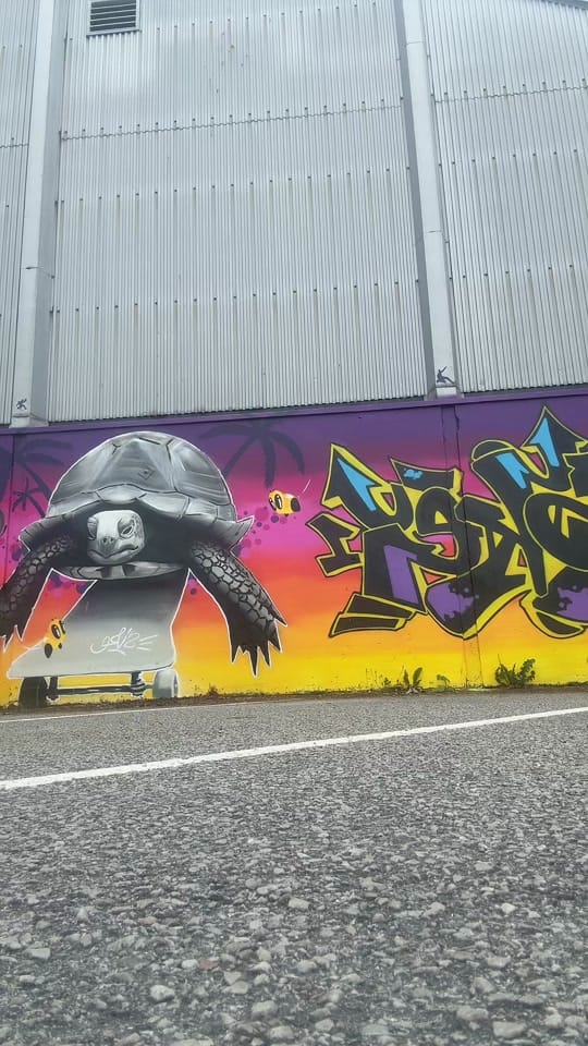 Post 7 by Sonia Michel on TikTok (video)