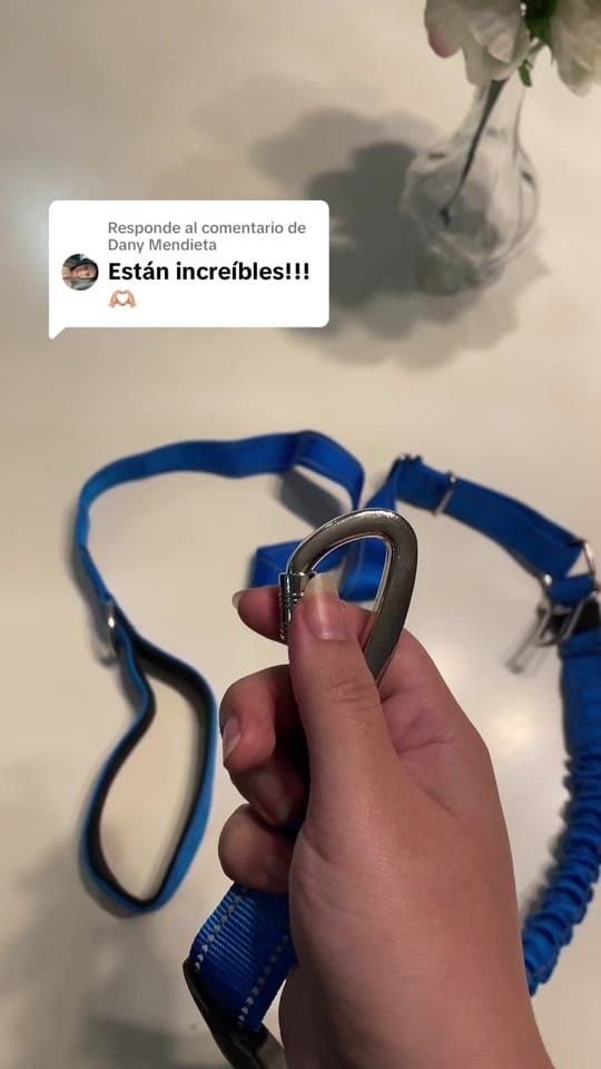 Post 8 by Vulpez | cosas para 🐶 on TikTok (video)