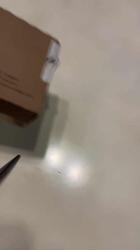 Post 6 by Vulpez | cosas para 🐶 on TikTok (video)