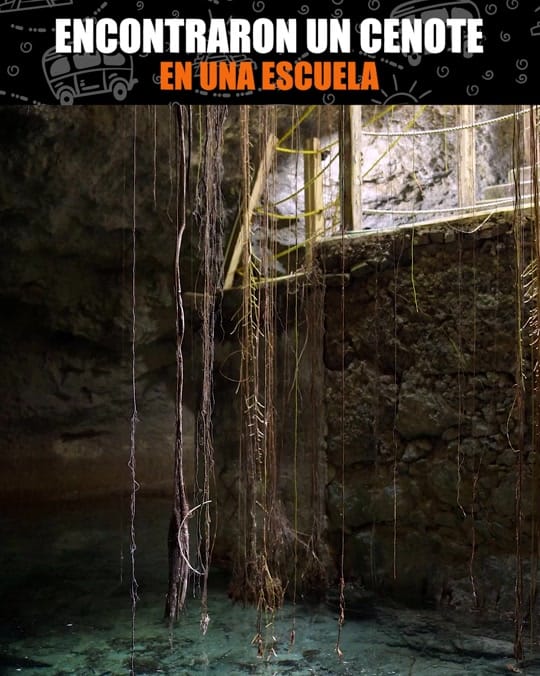 Post 2 by Yucarnal on TikTok (video)