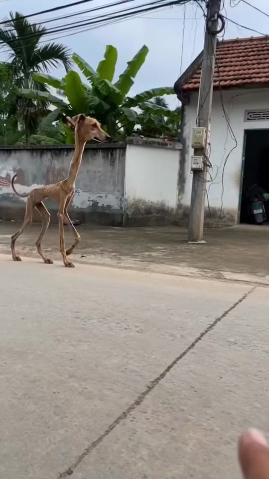 Post 4 by 33 fleur d’été on TikTok (video)