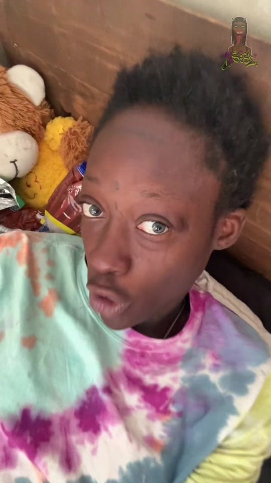 Post 5 by 𝑾𝒉𝒐 𝒊𝒔 𝑺𝒆𝒔𝒊 ? on TikTok (video)
