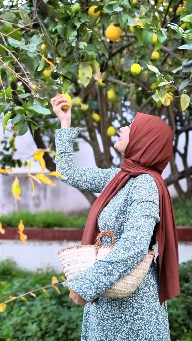 Post 8 by sarah redjil سارة رجيل on Instagram (video)