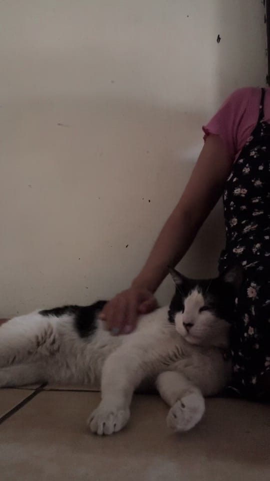 Post 1 by Arantxa Guerrero🐮 on TikTok (video)
