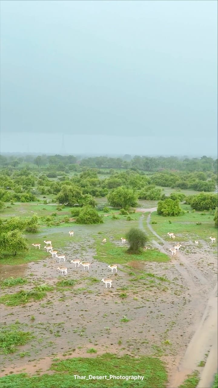 Post 3 by Sharvan Patel on Instagram (video)