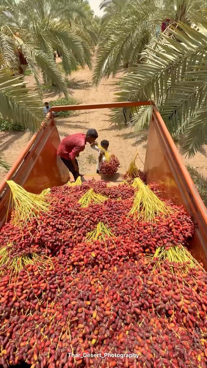 Post 1 by Sharvan Patel on Instagram (video)