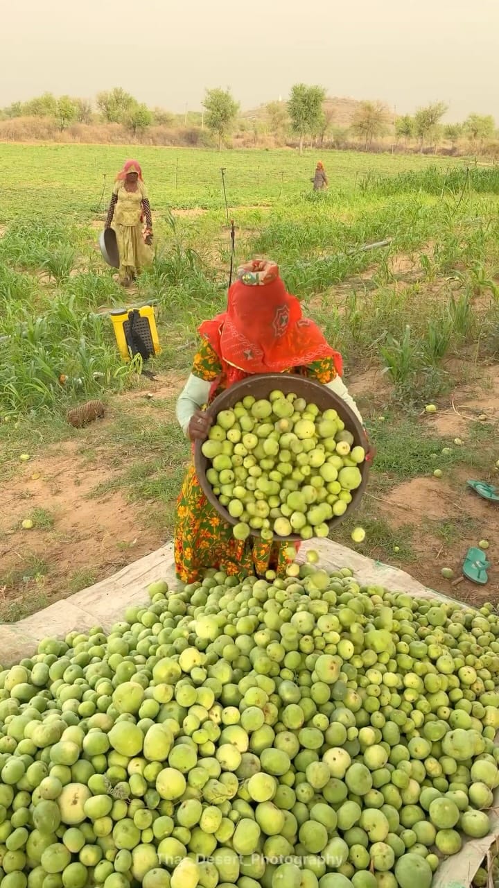 Post 5 by Sharvan Patel on Instagram (video)