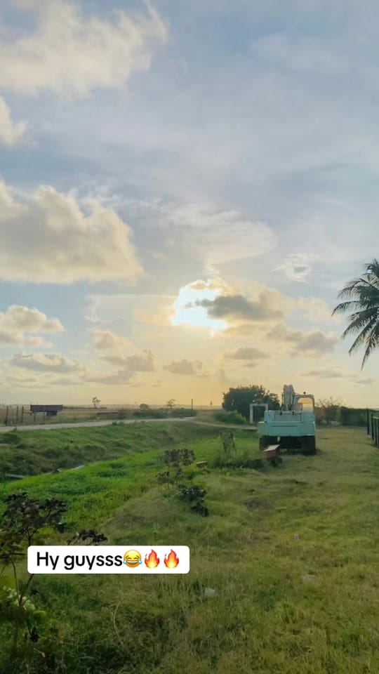 Post 7 by TEATIME🐦‍⬛ on TikTok (video)