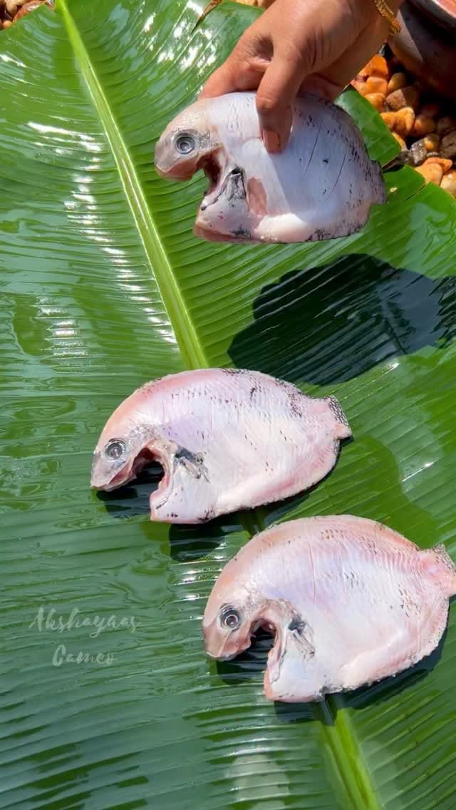 Post 1 by Akshaya Merin Babu 🦋 on Instagram (video)