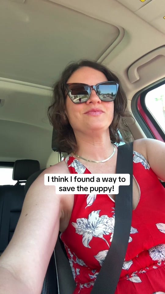 Post 7 by sacredpawsdogsanctuary on TikTok (video)