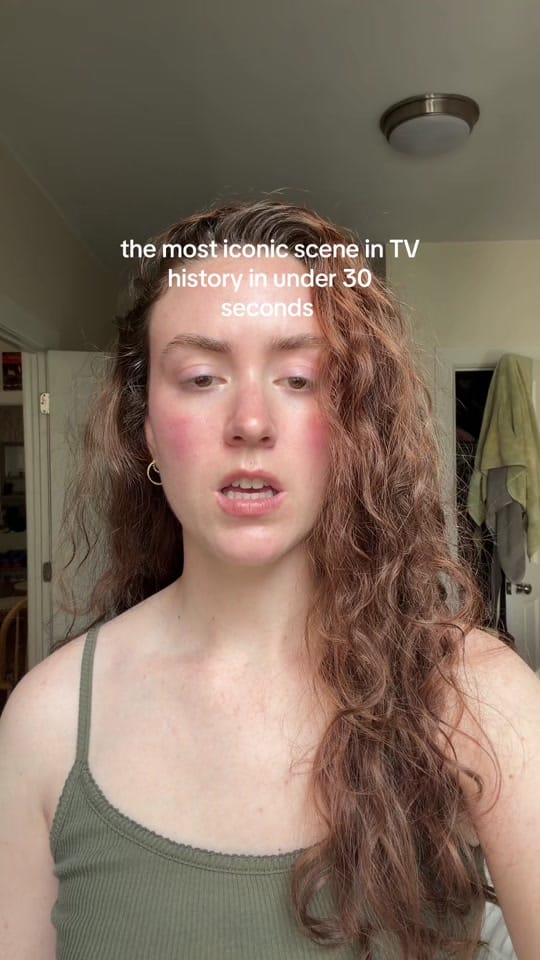 Post 2 by Katie Lemmen on TikTok (video)