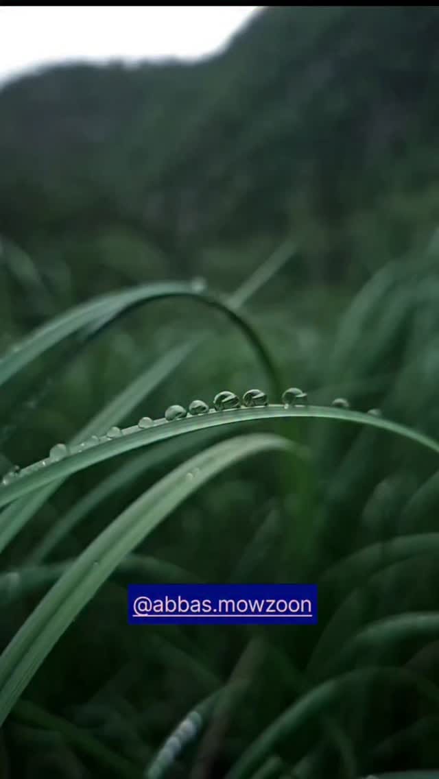 Post 2 by Abbas Mowzoon | عباس موزون on Instagram (video)