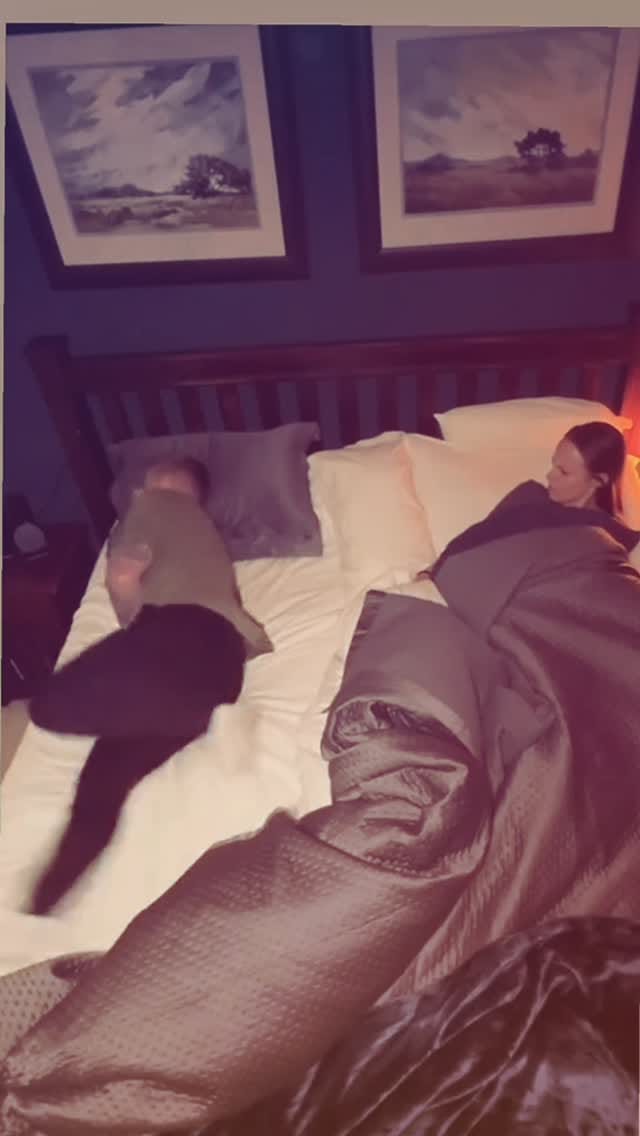 Post 8 by @b3ltoon_official on Instagram (video)
