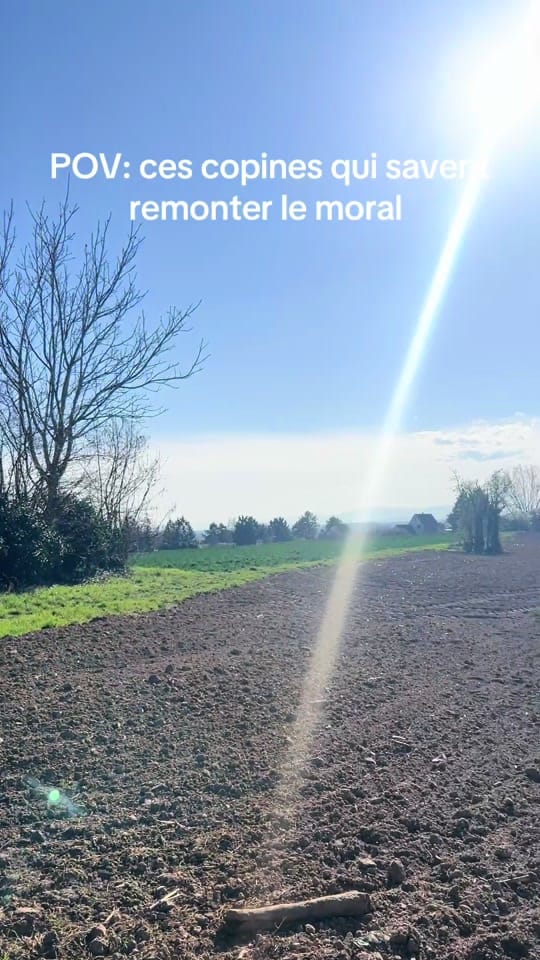 Post 2 by inespresley on TikTok (video)