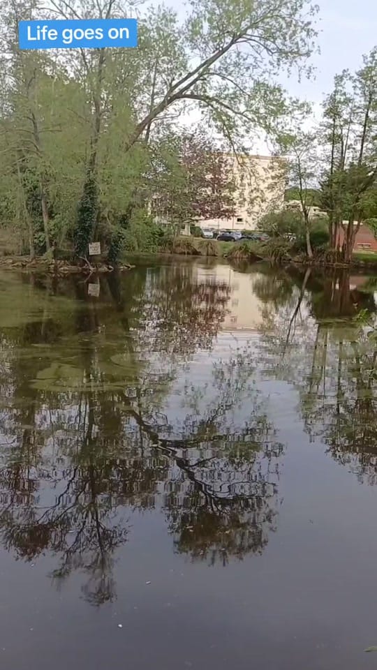 Post 9 by Gee Acarie on TikTok (video)