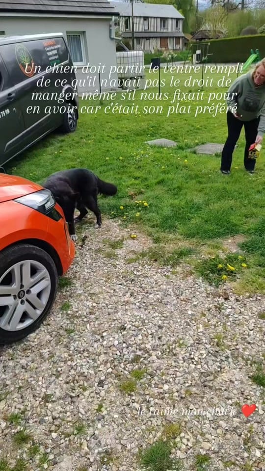 Post 1 by lénane on TikTok (video)
