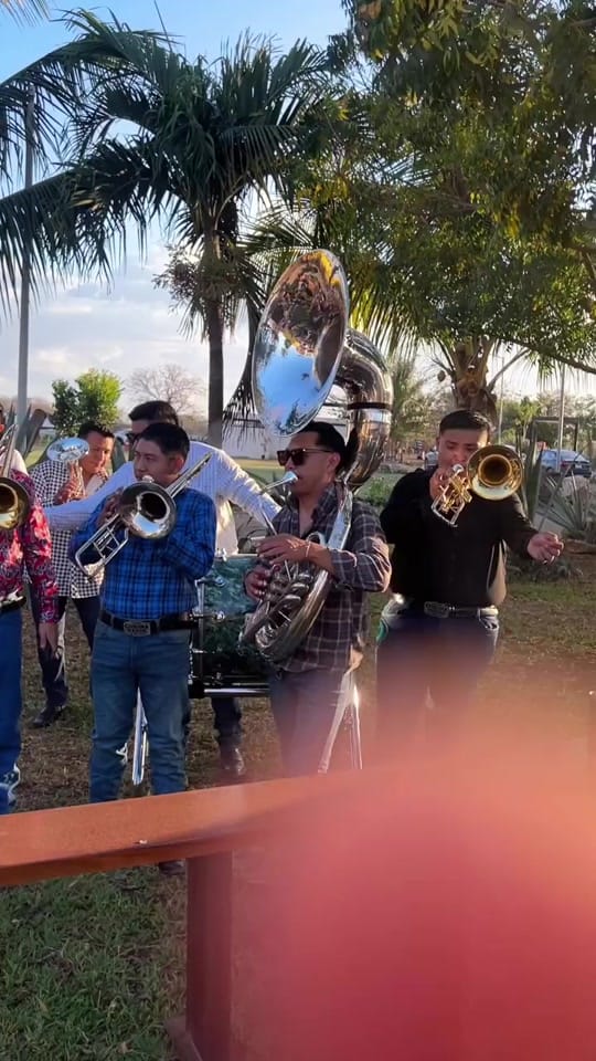 Post 10 by BANDA CORONA VERDE on TikTok (video)