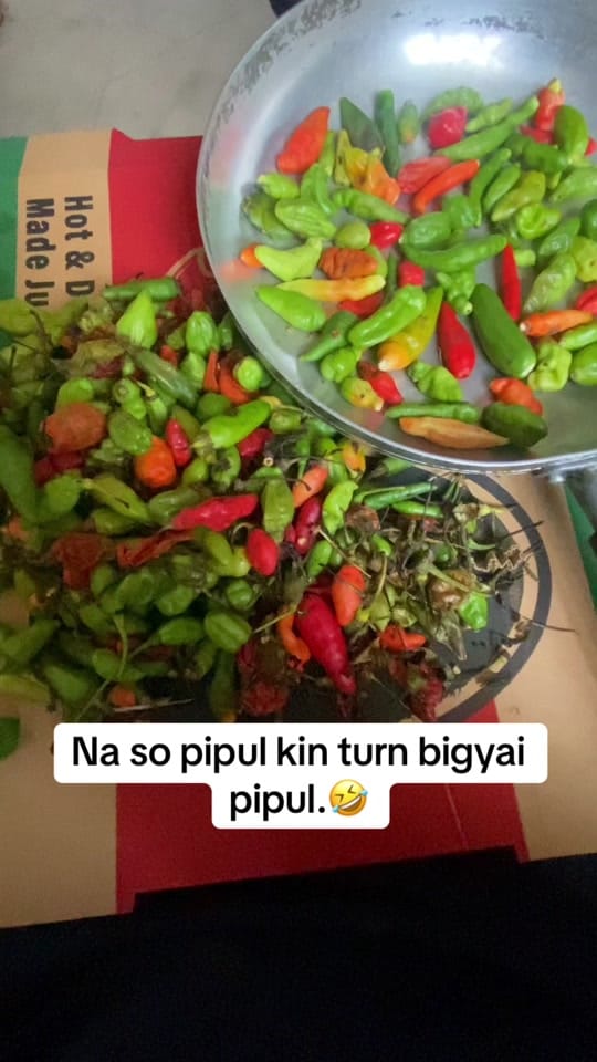 Post 4 by Shidiyankay-232 on TikTok (video)
