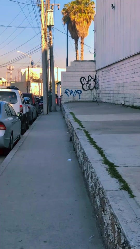 Post 5 by Nero Neko Store on TikTok (video)