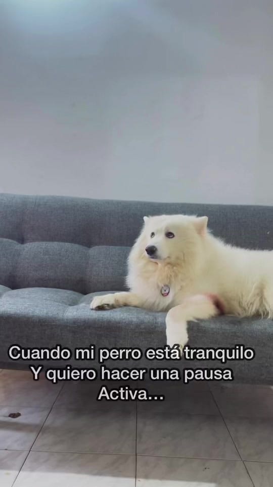 Post 10 by Leon J.D. on TikTok (video)
