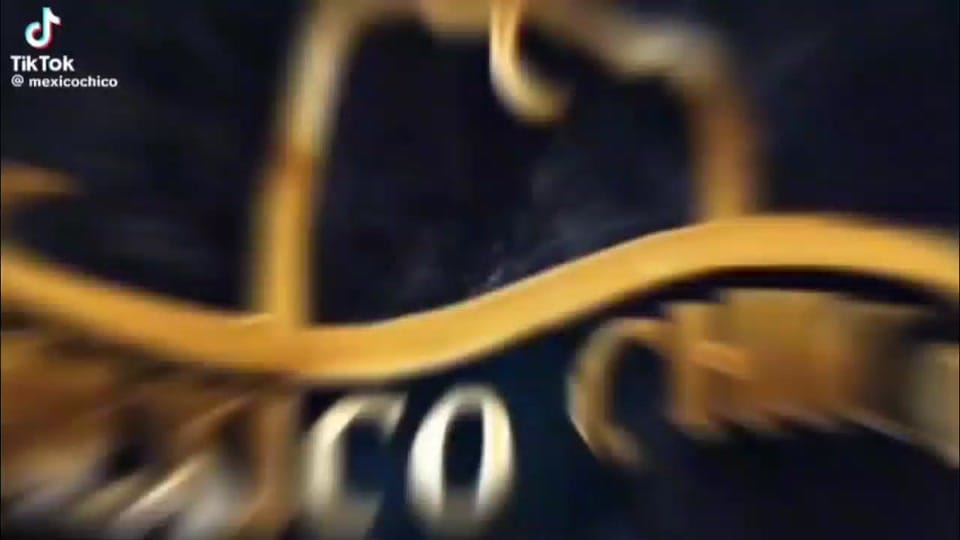 Post 4 by MEXICO CHICO on TikTok (video)