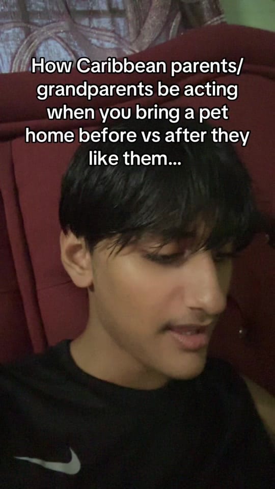 Post 4 by ✝️🐣Chikn.Noodles🍜✝️ on TikTok (video)