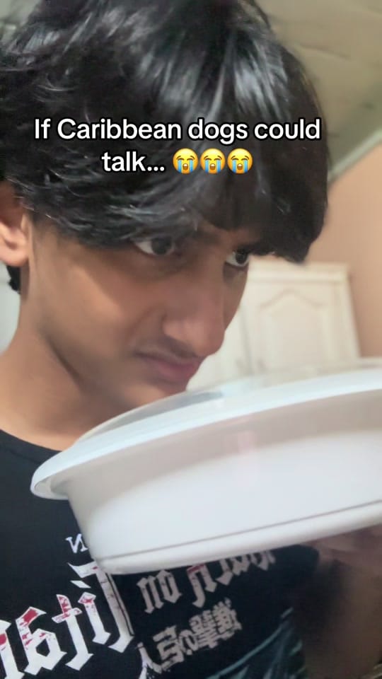 Post 2 by ✝️🐣Chikn.Noodles🍜✝️ on TikTok (video)