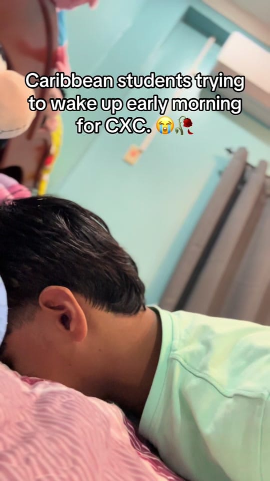 Post 10 by ✝️🐣Chikn.Noodles🍜✝️ on TikTok (video)