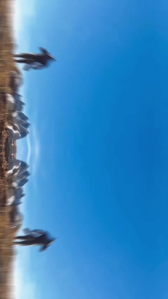 Post 6 by Leon Chiro on TikTok (video)