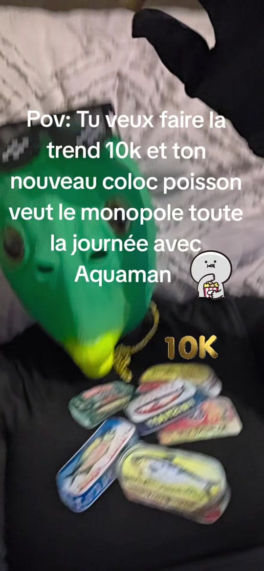 Post 3 by La.mascarade.la.vraie 🎭 on TikTok (video)