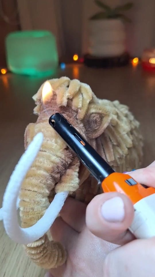 Post 10 by KITSCHY FLORE on TikTok (video)