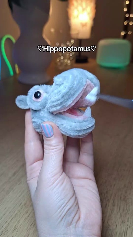 Post 5 by KITSCHY FLORE on TikTok (video)