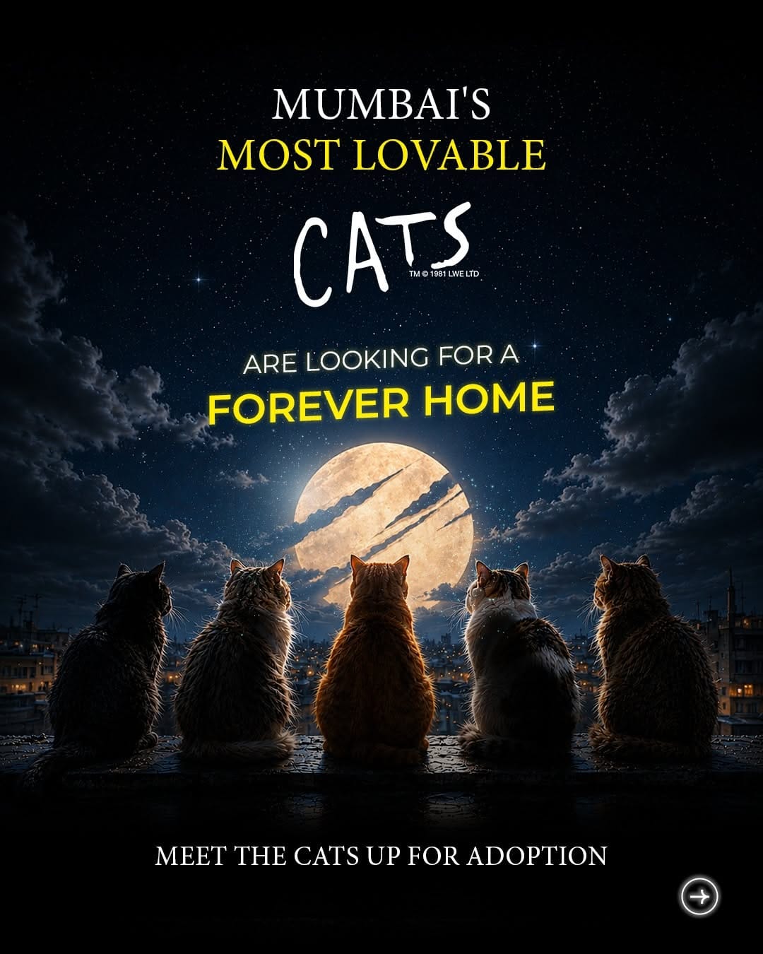 Post 9 by Cat Café Studio on Instagram (carousel)