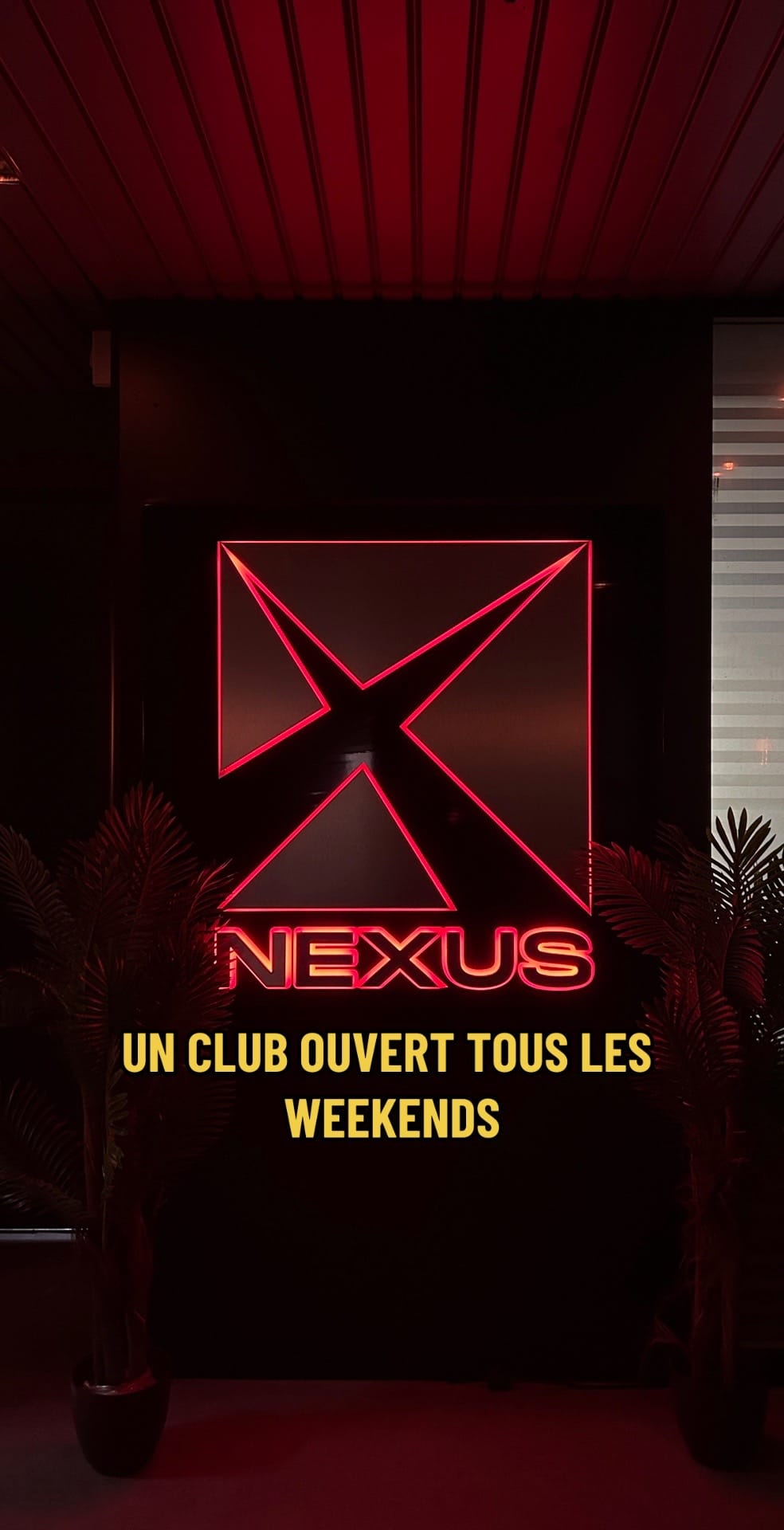 Post 10 by Nexus Club on TikTok (video)