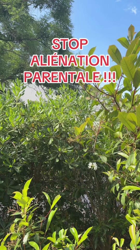 Post 3 by Styfler_34 🔵⚪️ on TikTok (video)