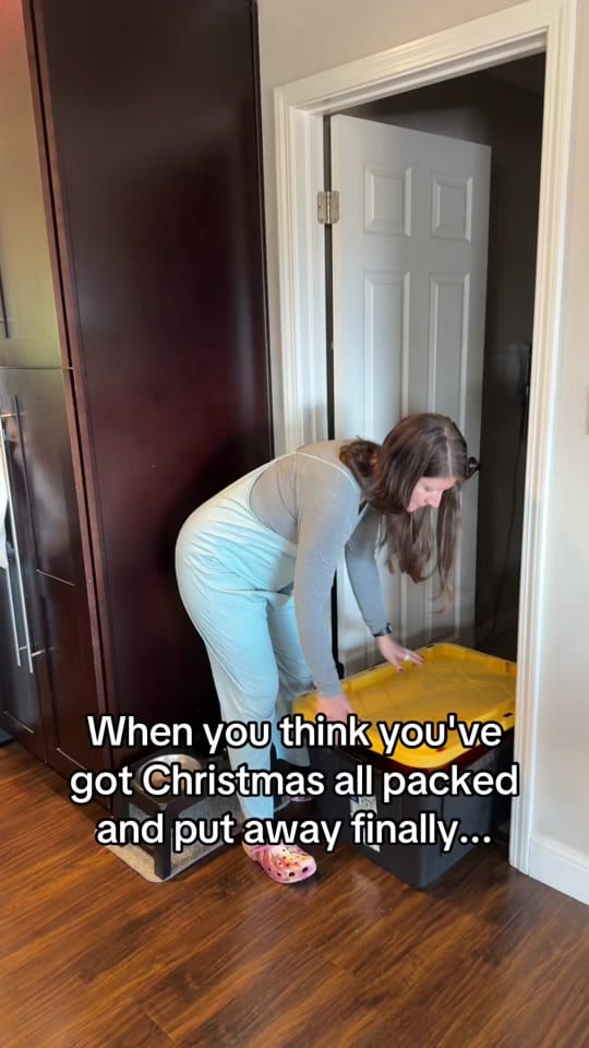 Post 1 by Dominic & Lauriane on TikTok (video)