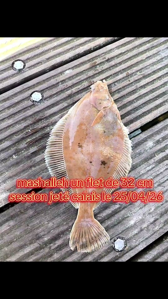 Post 3 by 🎣🎣🐟Assil Fishing🐟🎣🎣🇹🇳 on TikTok (video)