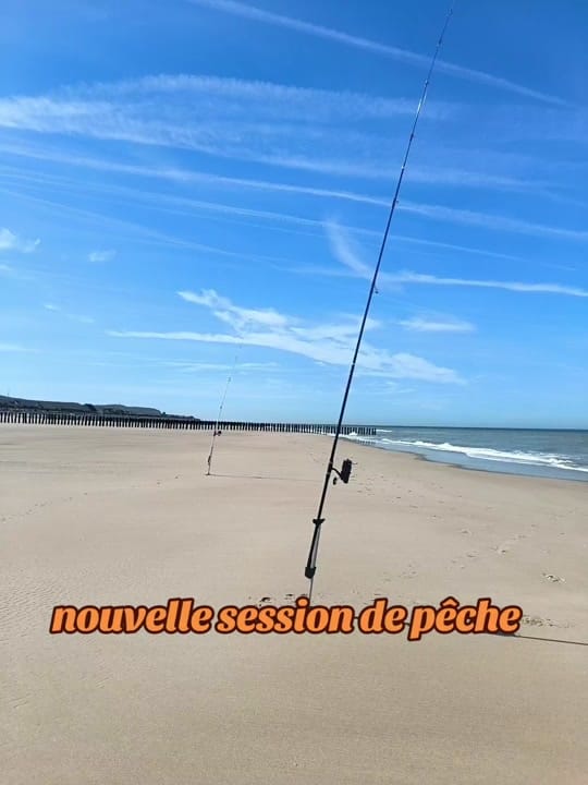 Post 4 by 🎣🎣🐟Assil Fishing🐟🎣🎣🇹🇳 on TikTok (video)