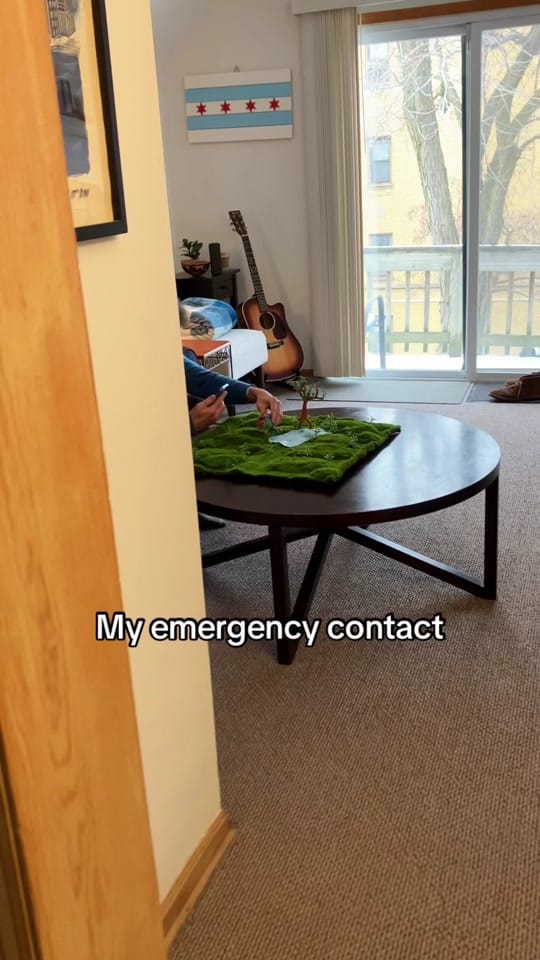 Post 9 by Mrs Waffle on TikTok (video)