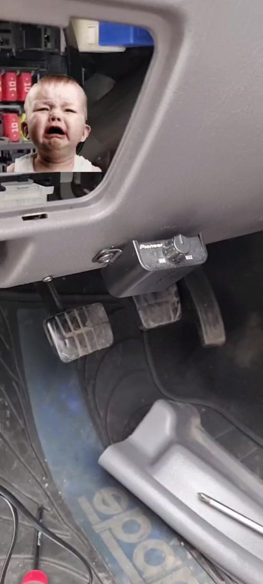 Post 8 by PROYECTO MX on TikTok (video)