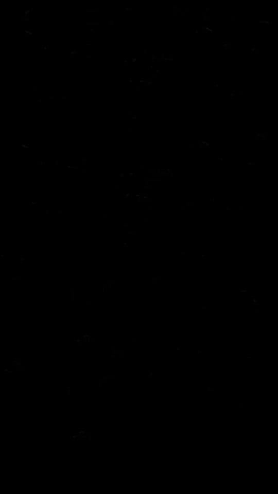 Post 10 by Joanna & Arnie 🚐 🐾 on TikTok (video)