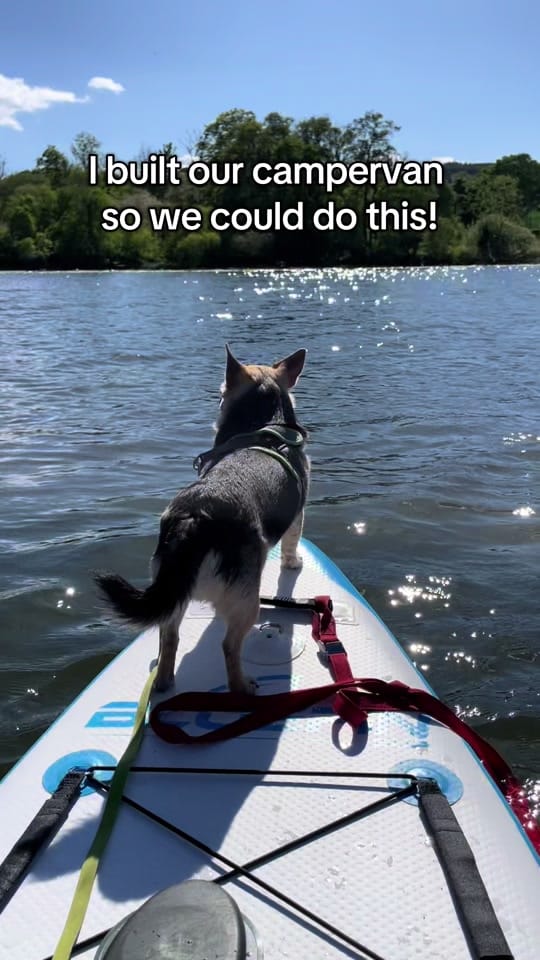Post 8 by Joanna & Arnie 🚐 🐾 on TikTok (video)
