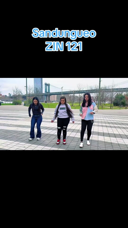 Post 4 by Vidya Ramlakhan on TikTok (video)