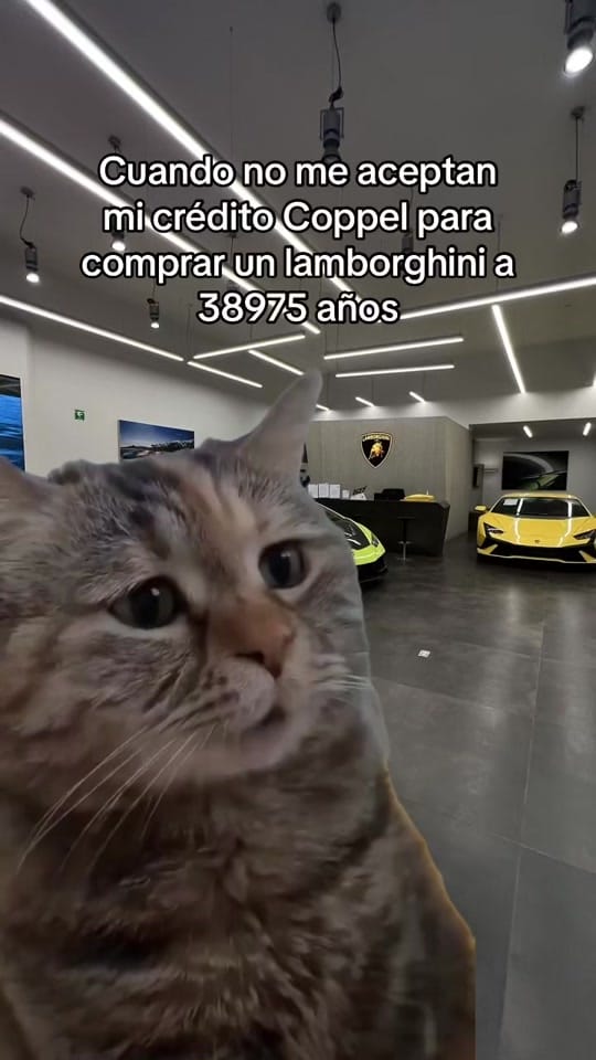 Post 7 by Rayo Corte on TikTok (video)