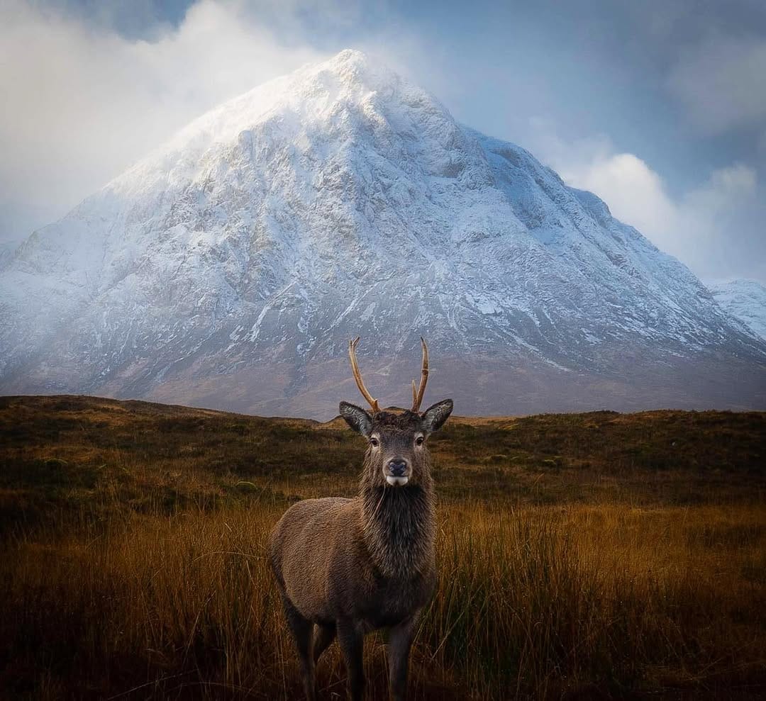 Post 10 by Ben Reynolds 📸🥾 on Instagram (image)