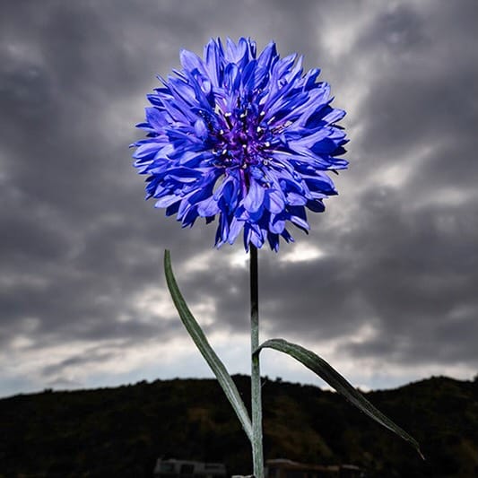 Post 8 by Andrew Macpherson on Instagram (image)